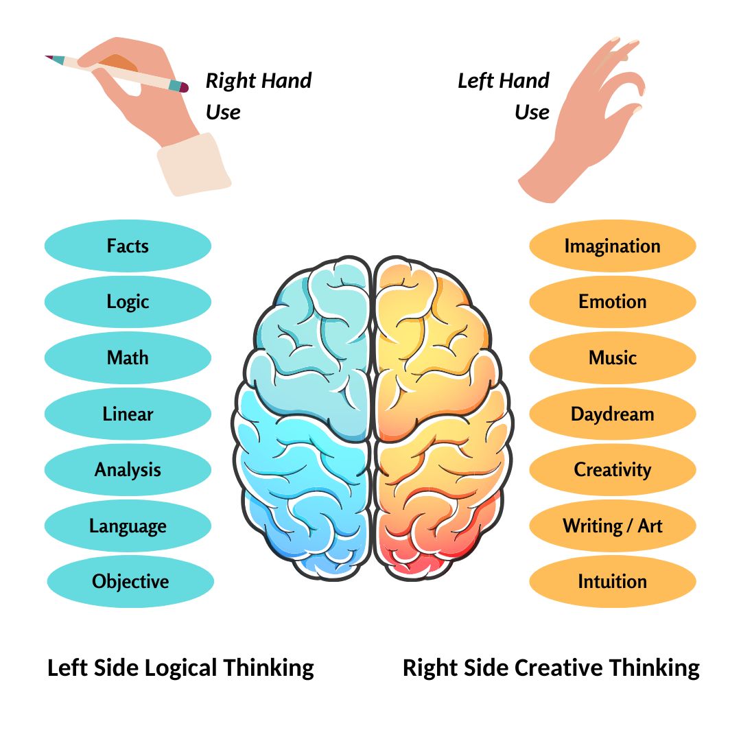 Brain Train Academics